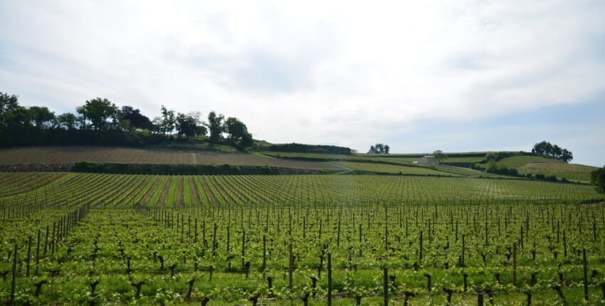 Bordeaux Mérignac: eralennuki rentimine 