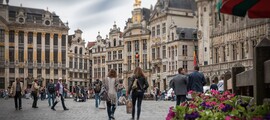 Koksijde : eralennuki rentimine 