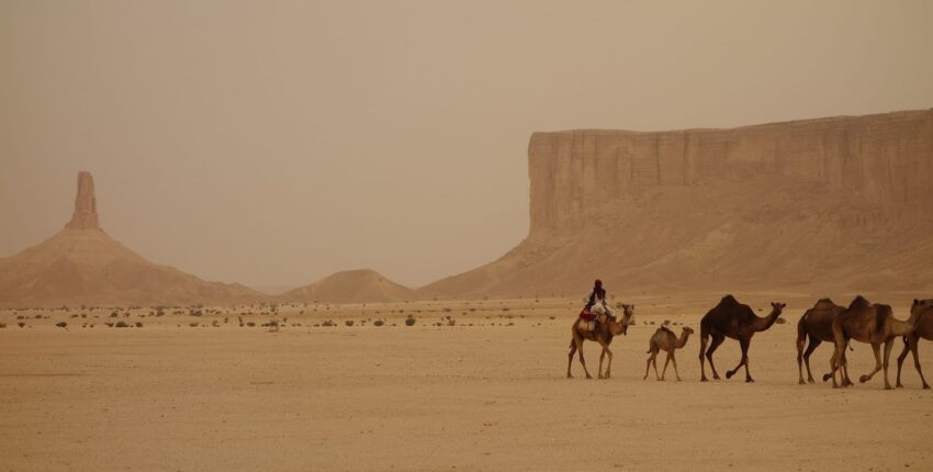 Riyadh : eralennuki rentimine 
