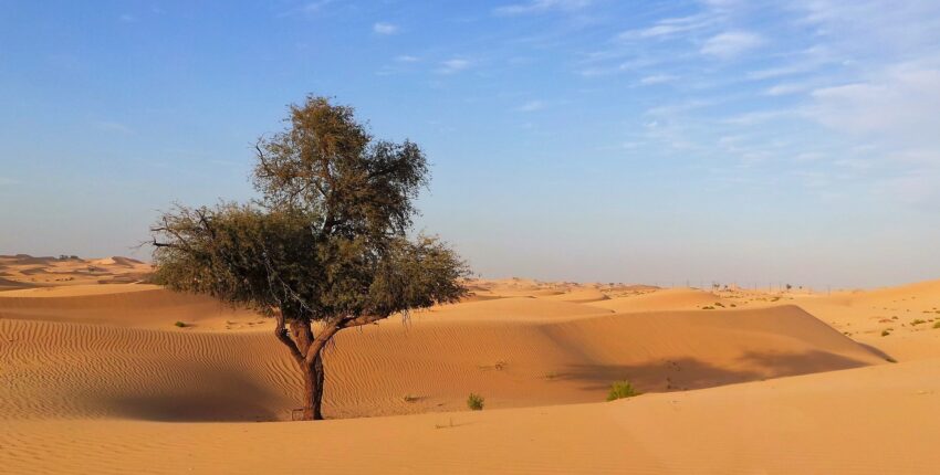 Abu Dhabi: eralennuki rentimine 