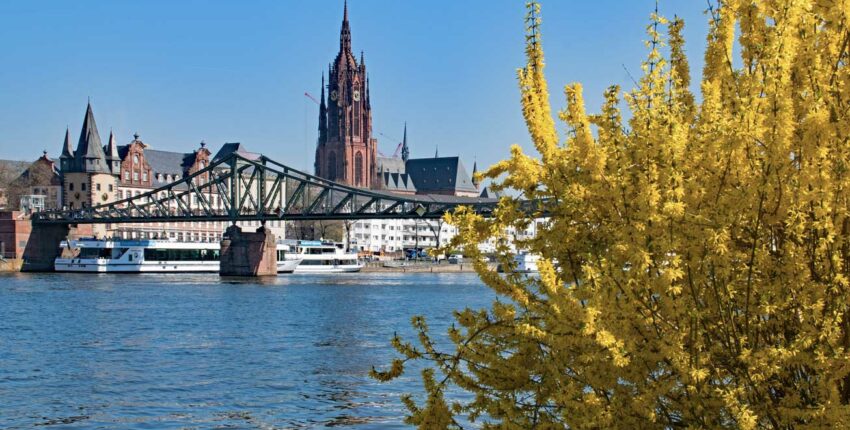 Frankfurt am Main: eralennuki rentimine