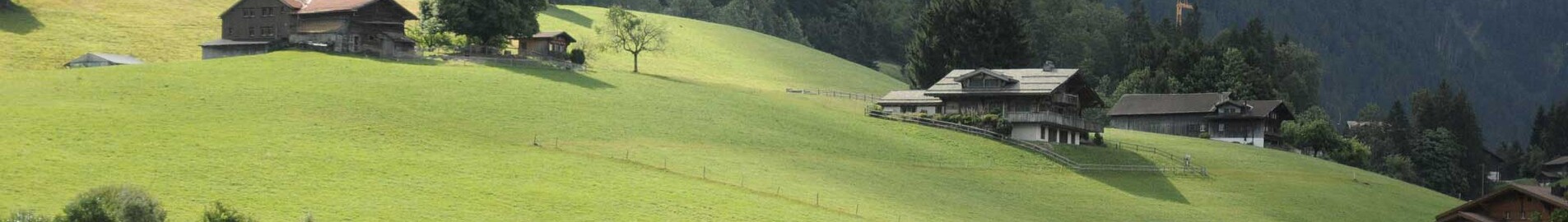 Pariis - Gstaad : eralennuki rentimine 
