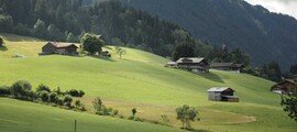 Hamburg - Zürich : eralennuki rentimine