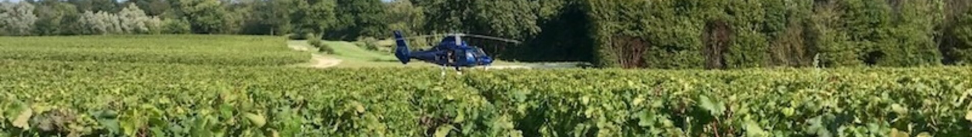 Avastage viinamarjaistandusi helikopteriga