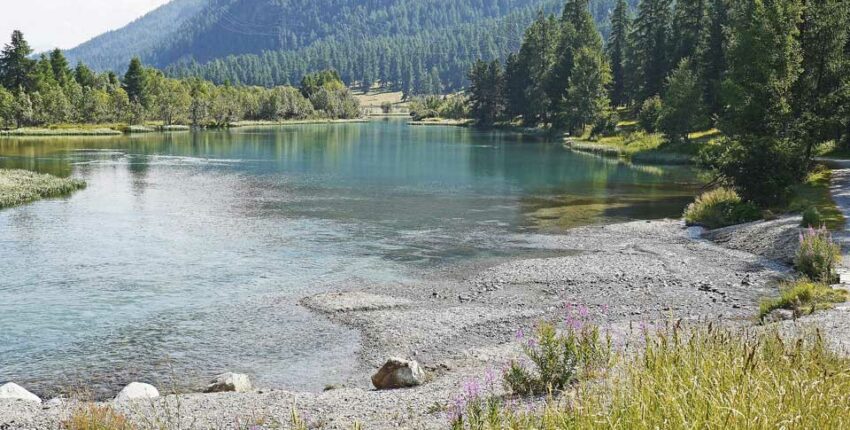 Saint-Moritz - Samedan : eralennuki rentimine