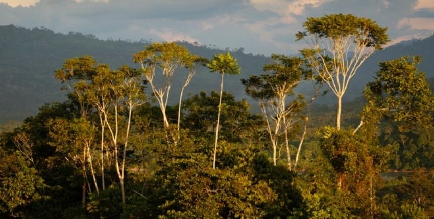 Lima : eralennuki rentimine 