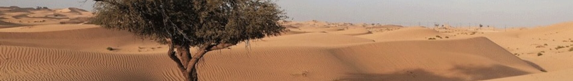 Abu Dhabi: eralennuki rentimine 