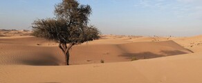 Abu Dhabi: eralennuki rentimine 