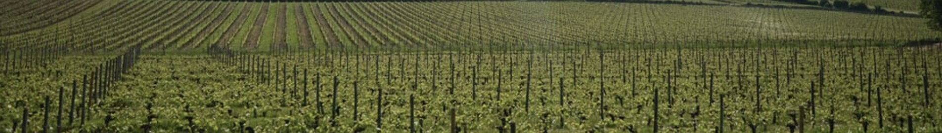 Bordeaux Mérignac: eralennuki rentimine 