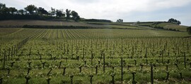 Saint Nazaire Montoir: eralennuki rentimine 