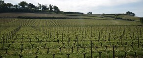 Bordeaux Mérignac: eralennuki rentimine 
