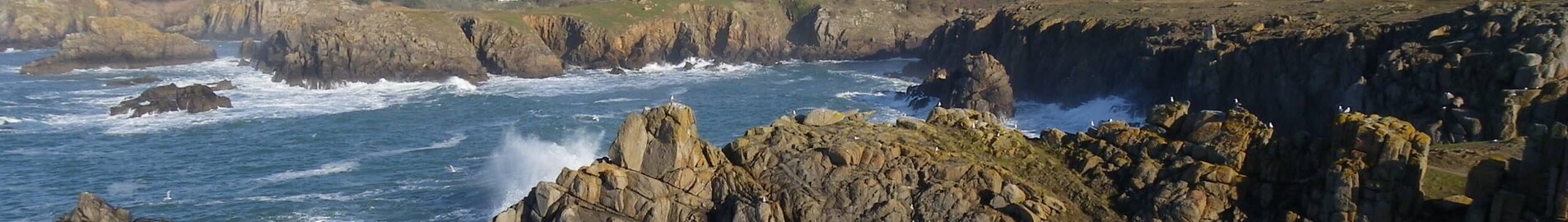 Ile d'Yeu : eralennuki rentimine 