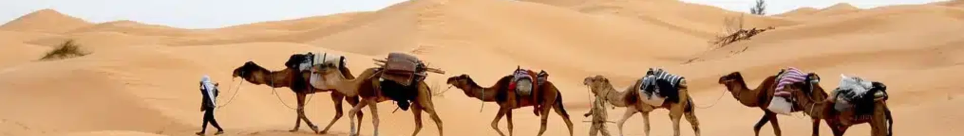 Tunis: eralennuki rentimine