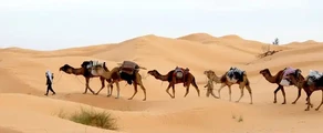 Tunis: eralennuki rentimine