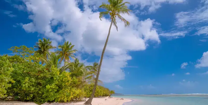Guadeloupe: eralennuki rentimine 