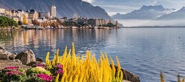 Cannes - Gstaad : eralennuki rentimine