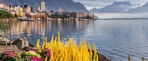 Hamburg - Genf : eralennuki rentimine