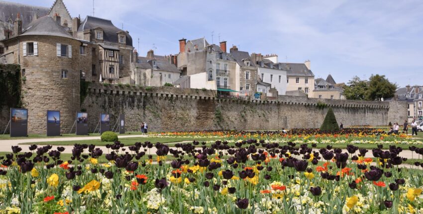 Vannes : eralennuki rentimine 