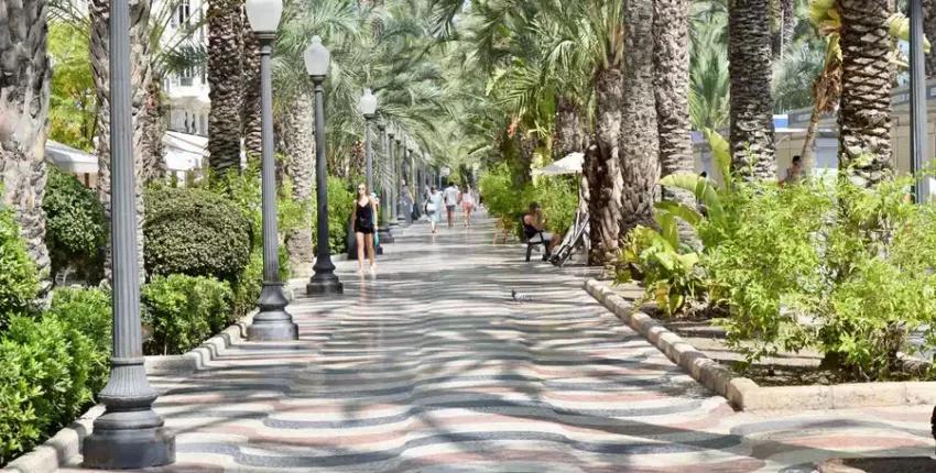 Alicante Elche : eralennuki rentimine 
