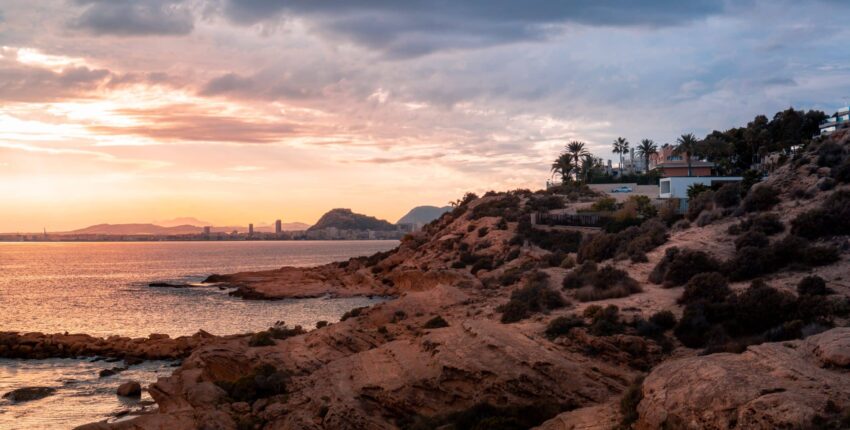 Alicante Elche : eralennuki rentimine 
