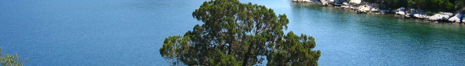 Mljet: eralennuki rentimine 