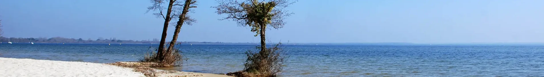 Base Aérienne Cazaux: eralennuki rentimine 