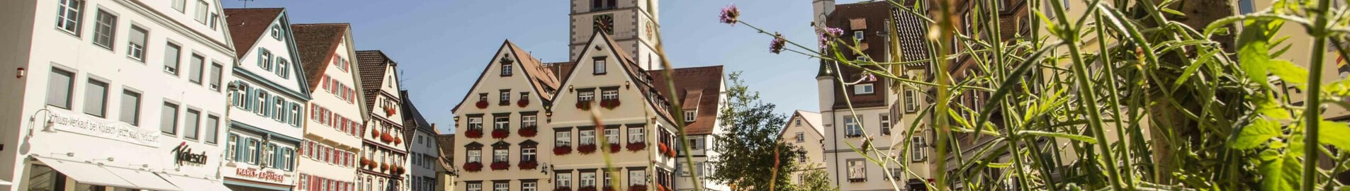 Biberach An Der Riss : eralennuki rentimine 