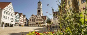 Biberach An Der Riss : eralennuki rentimine 