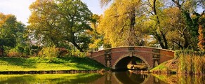 Dessau : eralennuki rentimine 