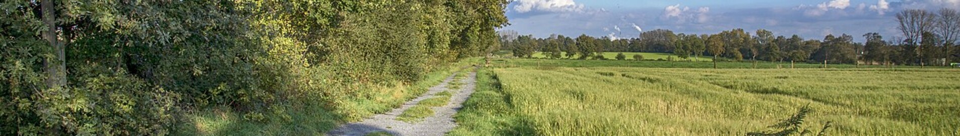 Dinslaken Schwarze Heide : eralennuki asukoht 