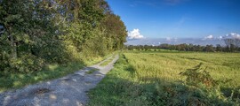 Siegen Siegerland : eralennukite asukoht 