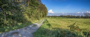Dinslaken Schwarze Heide : eralennuki asukoht 