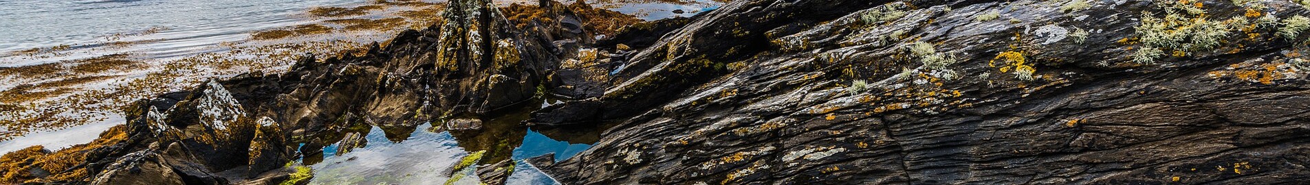 Donegal: eralennuki rentimine 