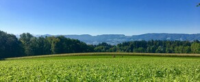 Dubendorf: eralennuki rentimine 