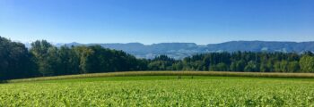 Xangongo : location de jet privé