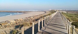 Comporta : eralennuki rentimine