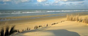 Koksijde : eralennuki rentimine 