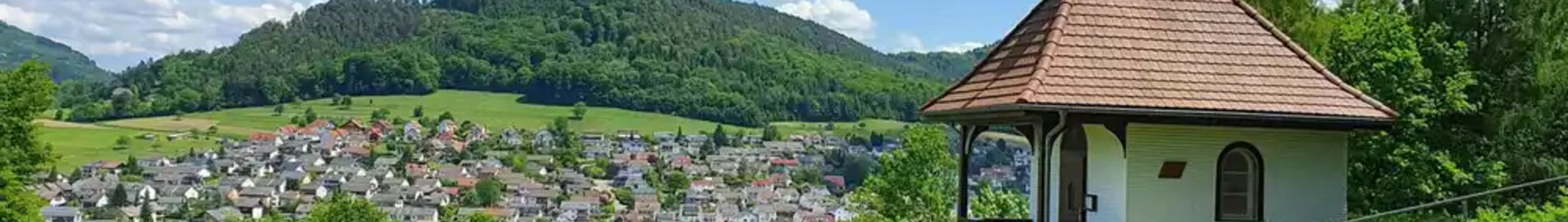 Lahr Black Forest: eralennuki rentimine 