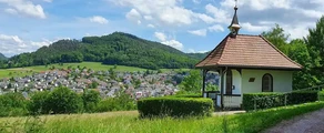 Lahr Black Forest: eralennuki rentimine 