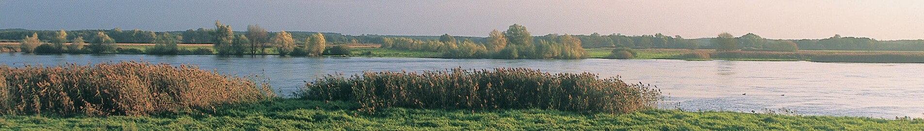 Neuhardenberg Wriezen : eralennuki asukoht 