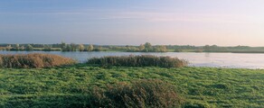 Neuhardenberg Wriezen : eralennuki asukoht 