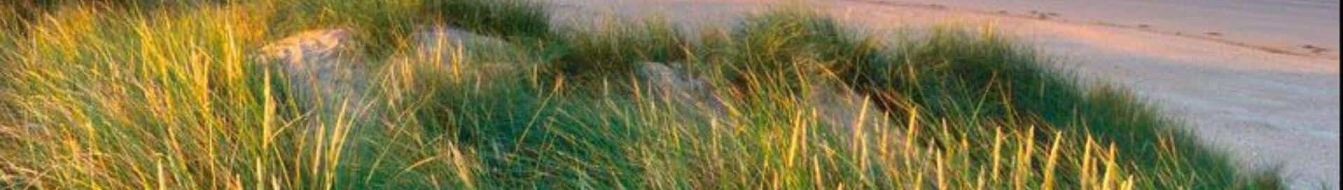 Pembrey: eralennuki rentimine 