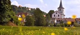 Biberach An Der Riss : eralennuki rentimine 