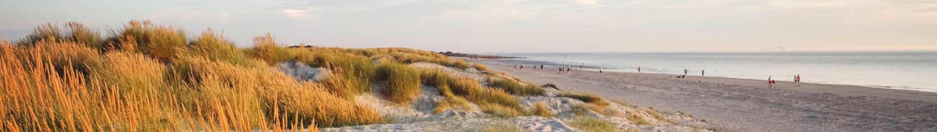Wittering : eralennuki rentimine 