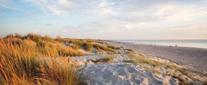Wittering : eralennuki rentimine 