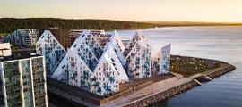 Kolding Vamdrup : eralennuki rentimine