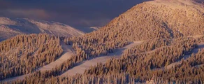 Kas Ostersund : eralennuki rentimine