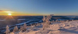 Ljungby Feringe : eralennuki rentimine
