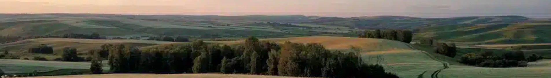 Barnaul : eralennuki rentimine