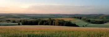 wels : location de jet privé